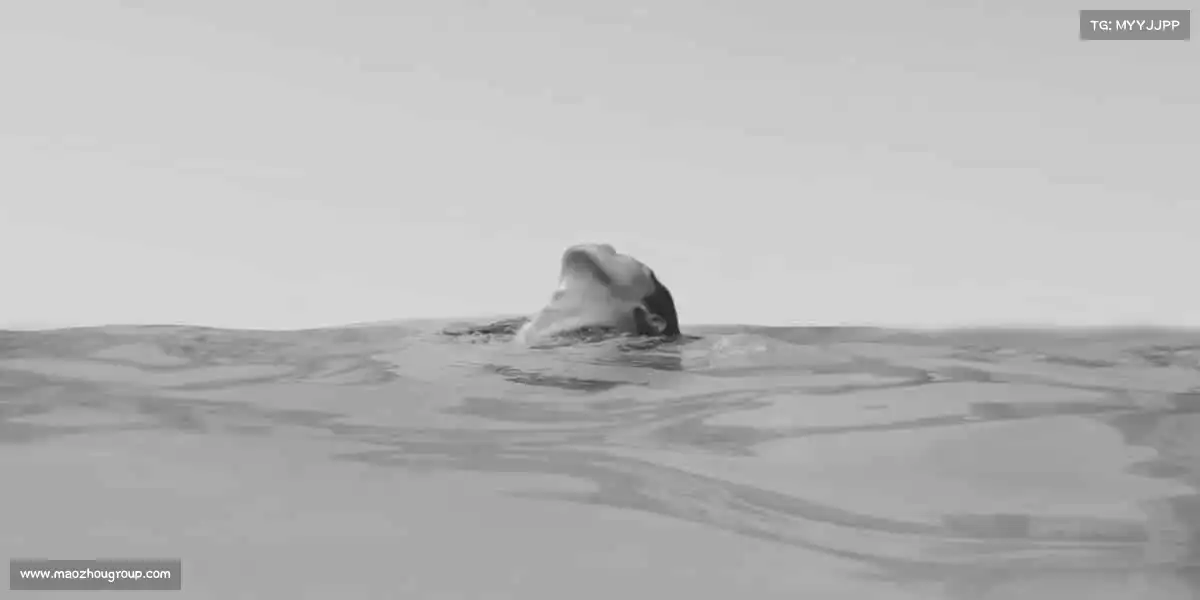 <strong>yy易游</strong>踏上赛场，你就是自己的冠军！🏅